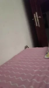 骚熟女口交
